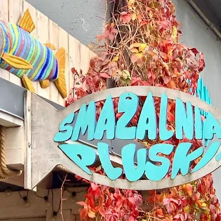 Pod Brzozami Nad J. Pluszne 펜션 *