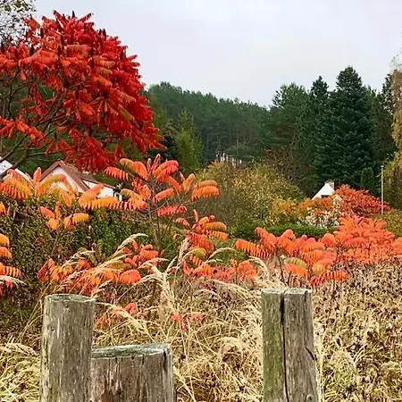 Pod Brzozami Nad J. Pluszne 펜션