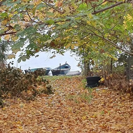 Pod Brzozami Nad J. Pluszne 펜션 플루스키