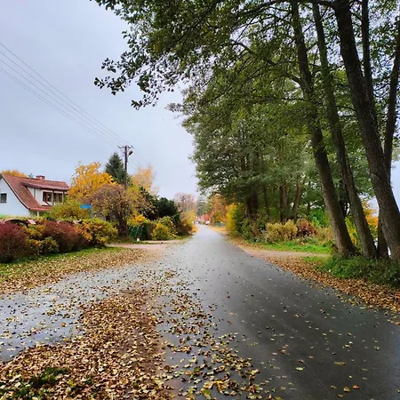 Pod Brzozami Nad J. Pluszne * 플루스키