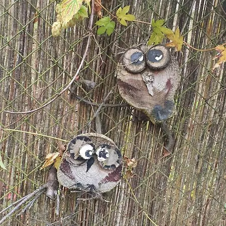 펜션 Pod Brzozami Nad J. Pluszne